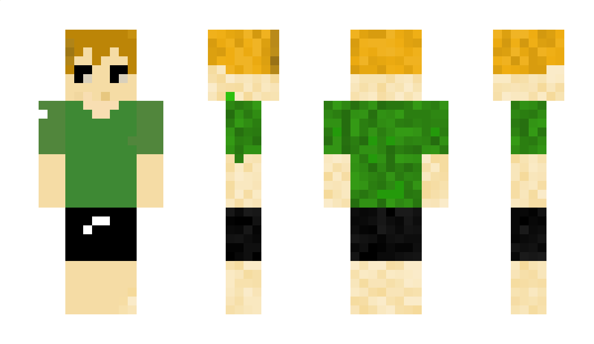 NOAMFRANKO56 Minecraft Skin