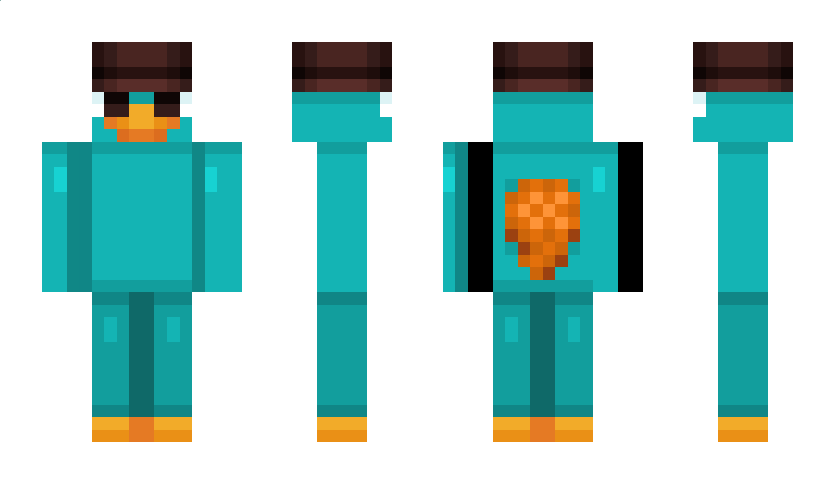 Flashturtur Minecraft Skin