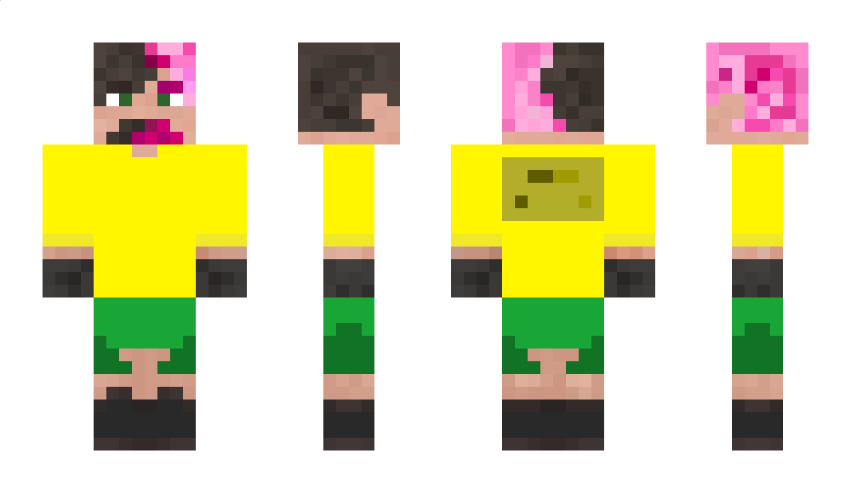 PyHeK Minecraft Skin