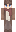 itssmart_ Minecraft Skin