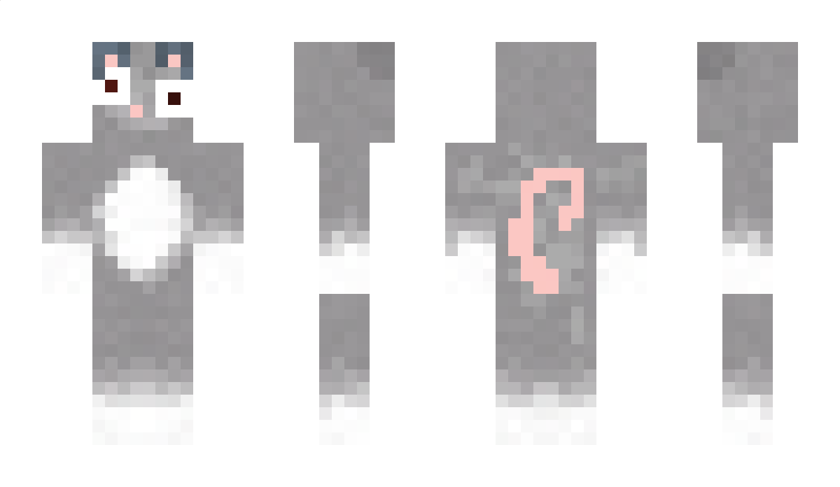 SpringChicken04 Minecraft Skin