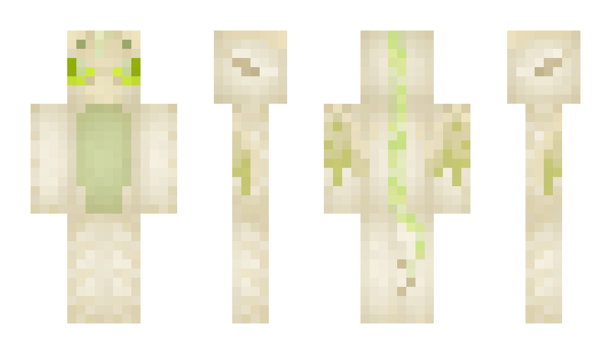 PhoenixTalon3 Minecraft Skin