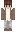 bowsecure Minecraft Skin