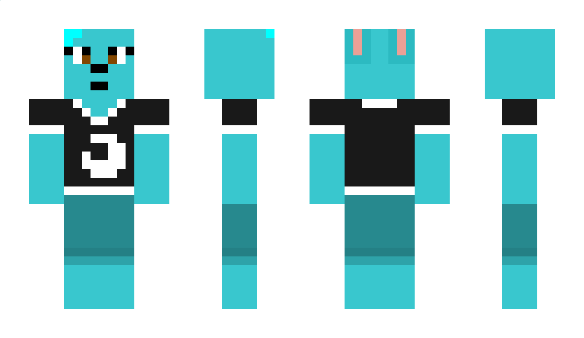 RosalinaFan573 Minecraft Skin