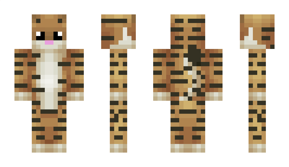 SecretSociety Minecraft Skin