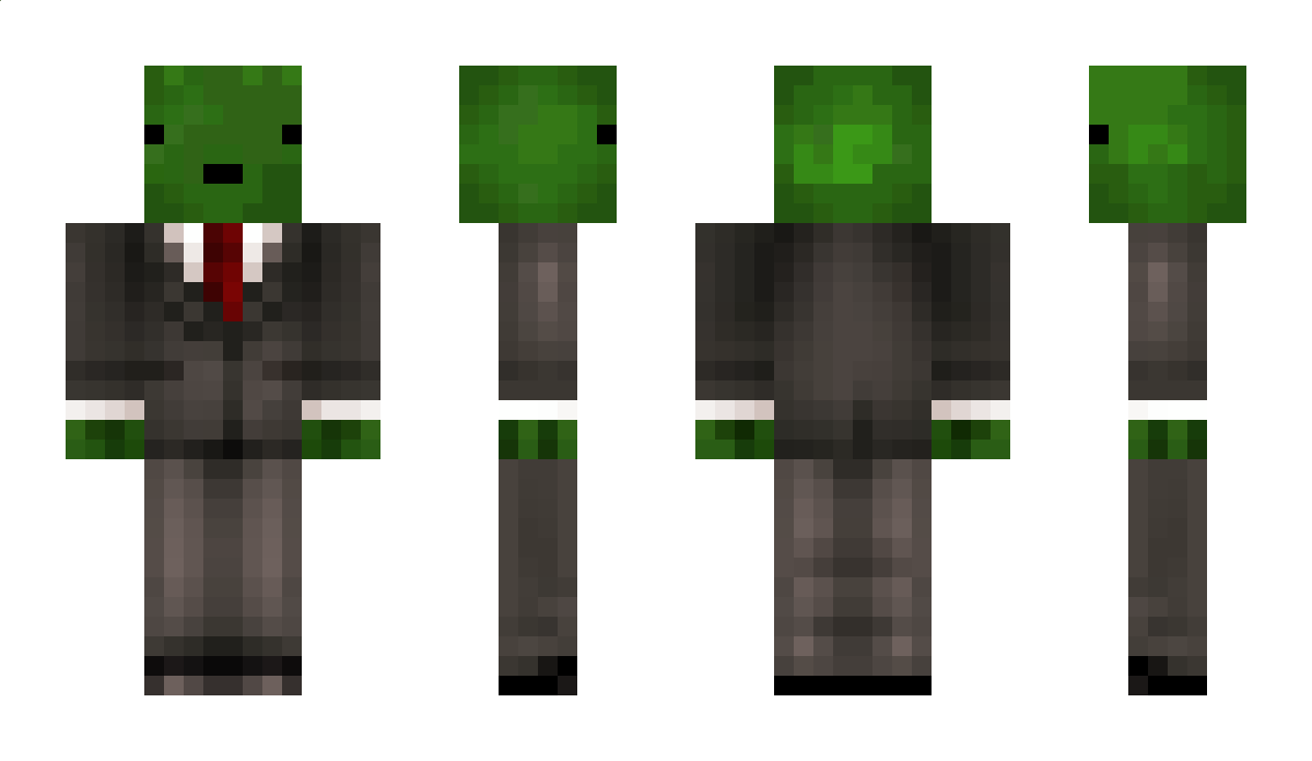 TrutleYT Minecraft Skin