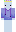 Lizzoid_Cyber Minecraft Skin