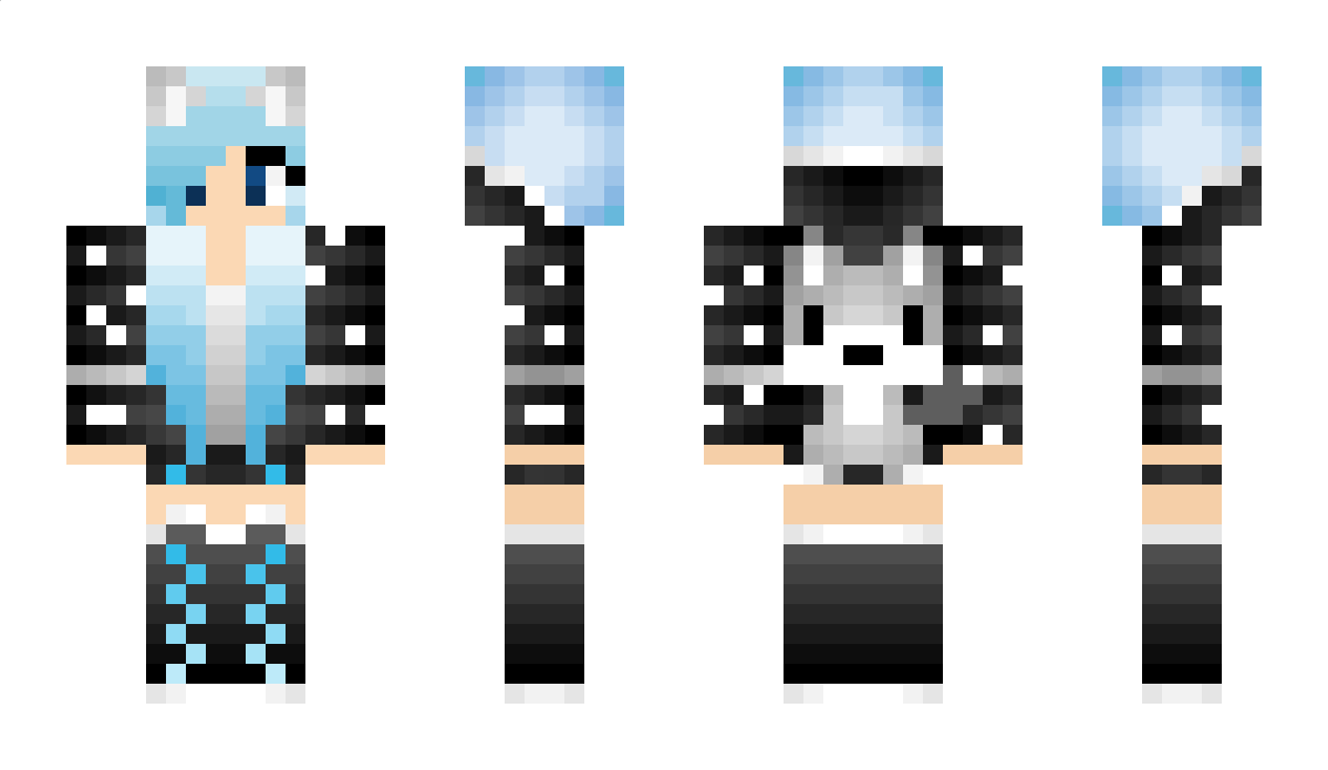 DWBJR Minecraft Skin