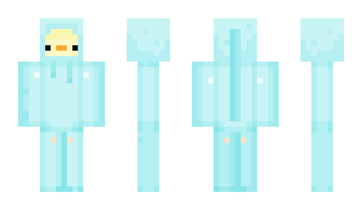 CraftyKoop Minecraft Skin