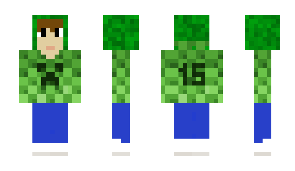 MottmcflyDad Minecraft Skin