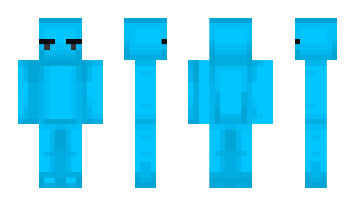 Kidcraftpro Minecraft Skin