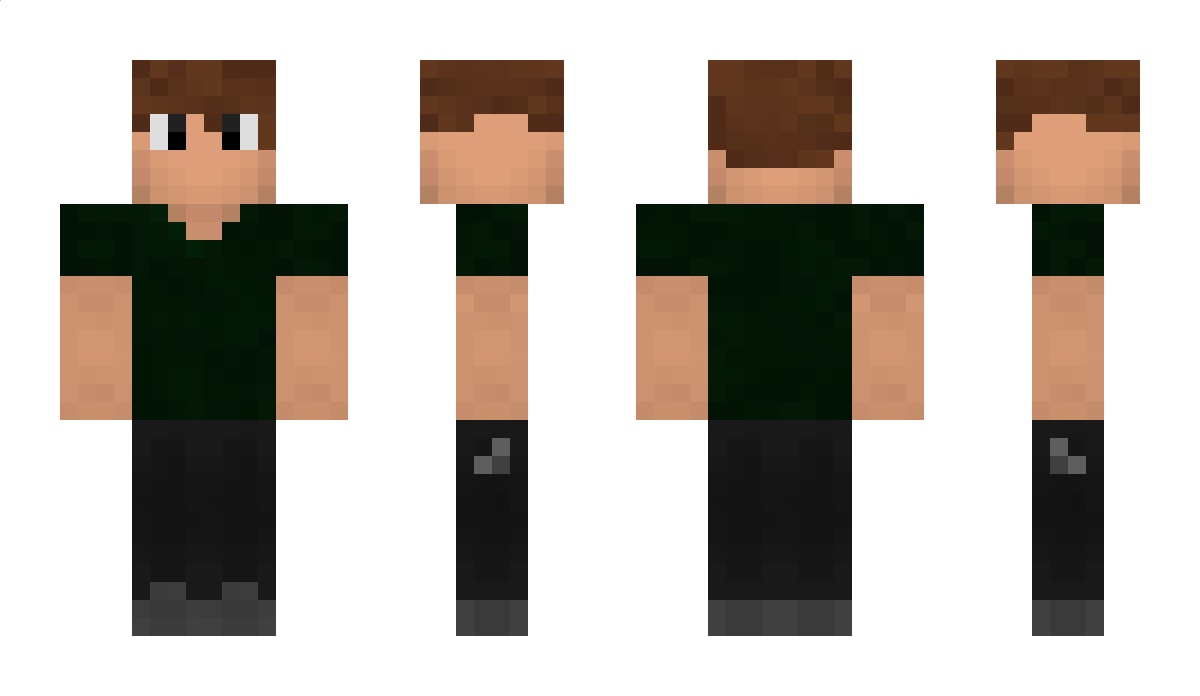 Pernilongao Minecraft Skin