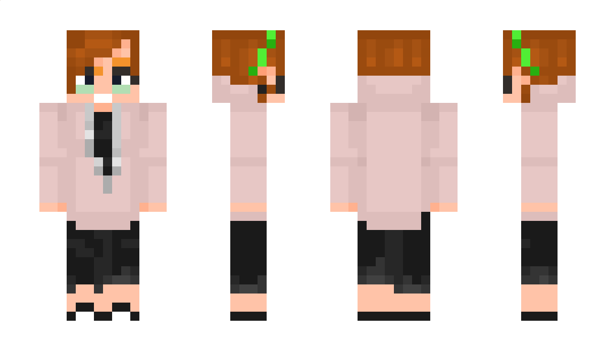 Tomtomijk Minecraft Skin