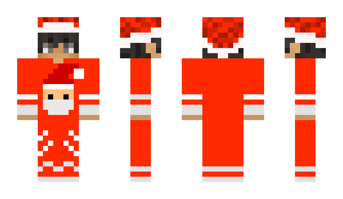 SigmusPL Minecraft Skin