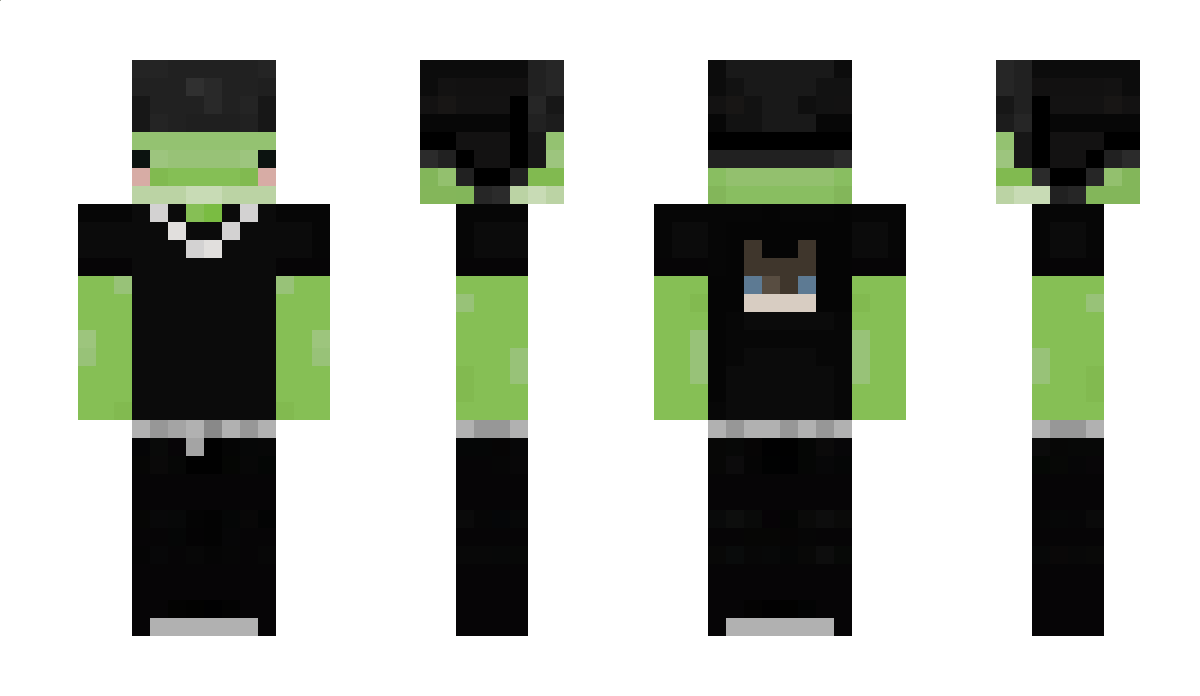 Steiiit Minecraft Skin