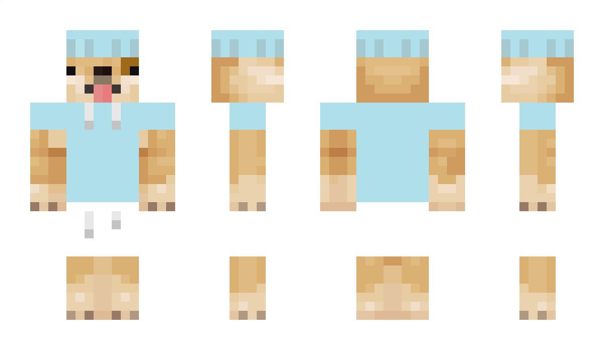 VogleeSpielt Minecraft Skin