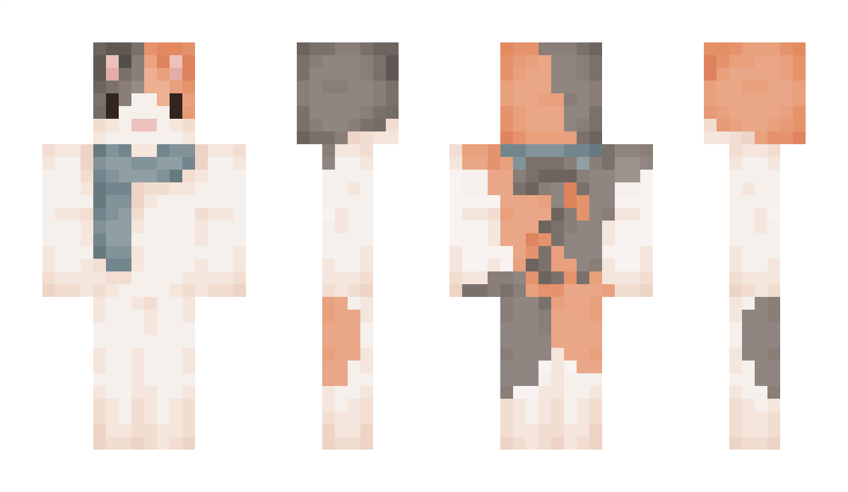 ppollk Minecraft Skin