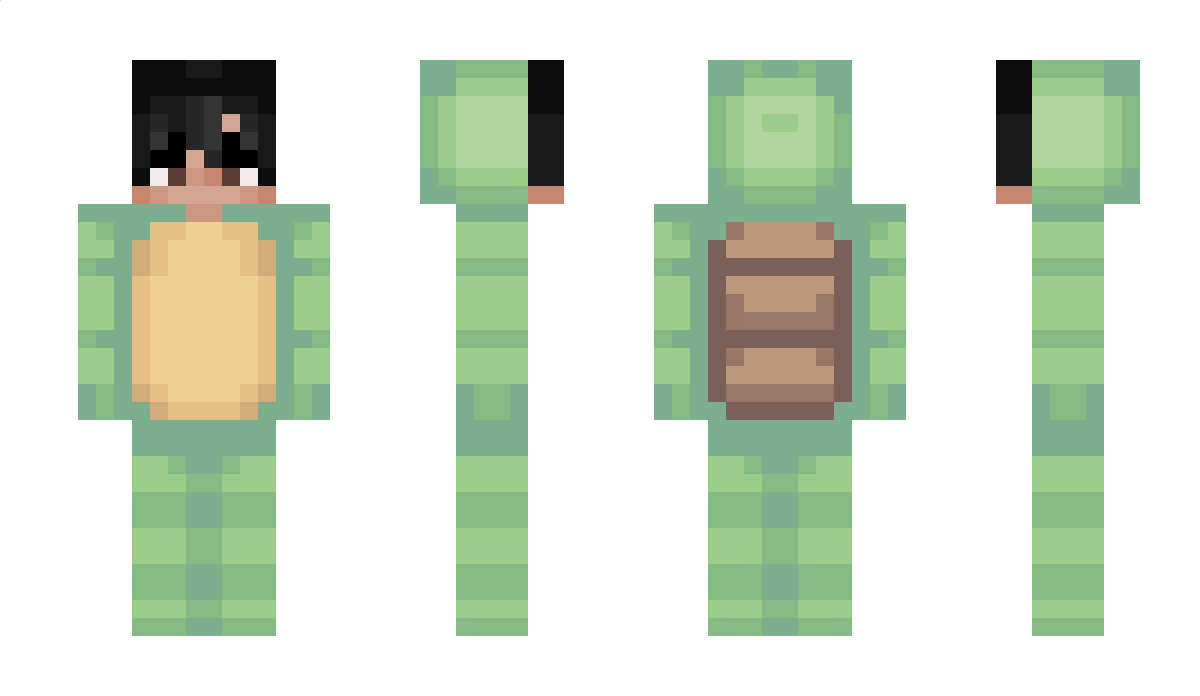 TurtleWasFound Minecraft Skin