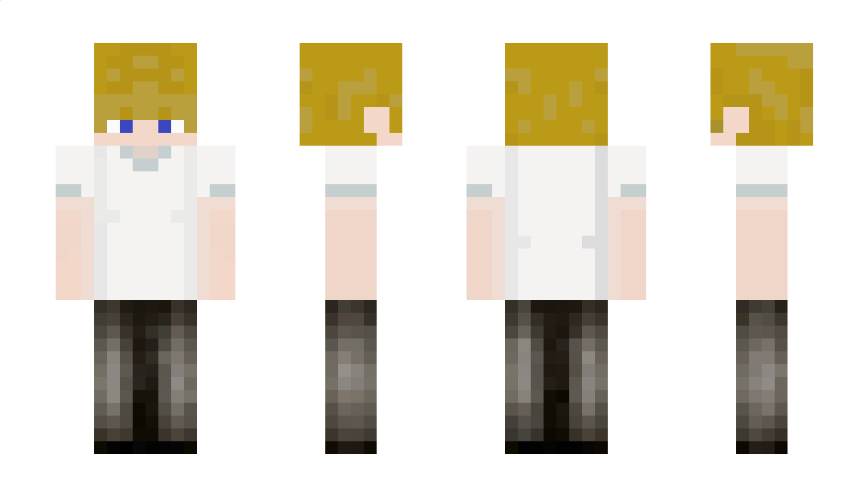 tomasking007 Minecraft Skin