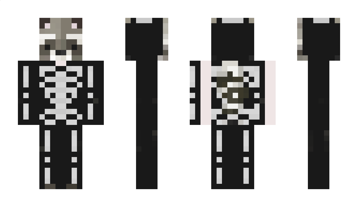 MsMapache Minecraft Skin