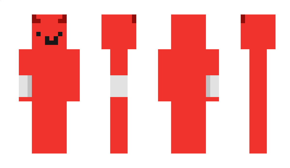 Usage Minecraft Skin