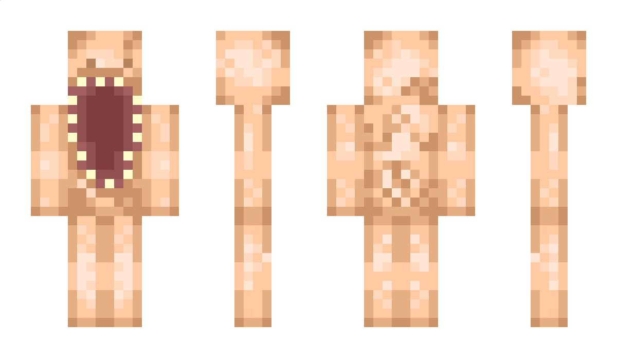 12010 Minecraft Skin