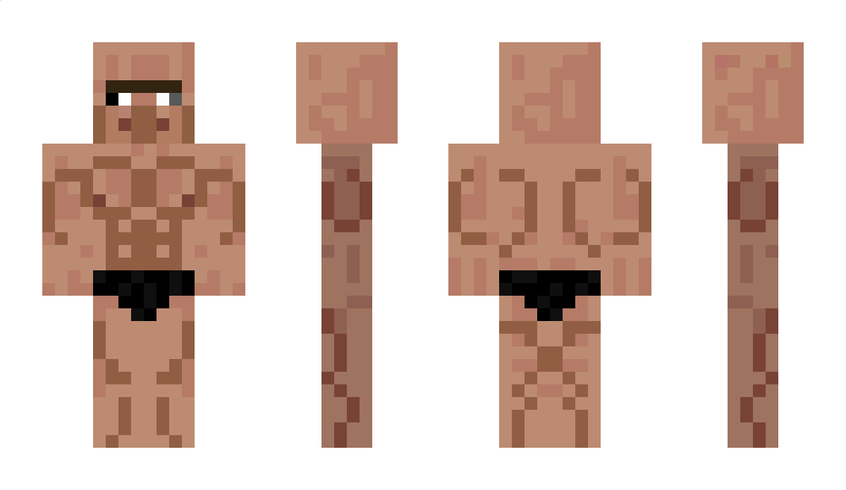 1n1master Minecraft Skin