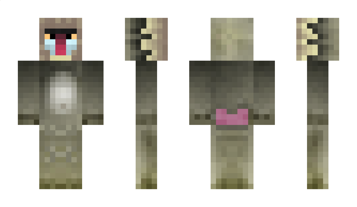 Baboon Minecraft Skin