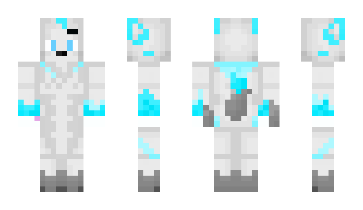 Naidru Minecraft Skin