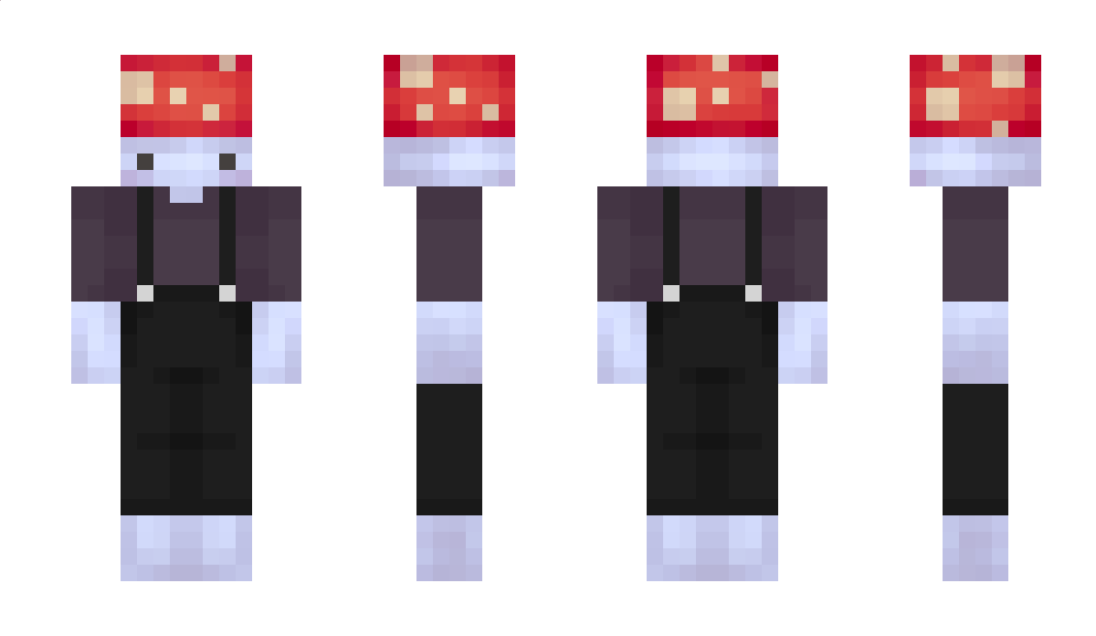 erdna2013 Minecraft Skin