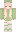 SashaRare_ Minecraft Skin