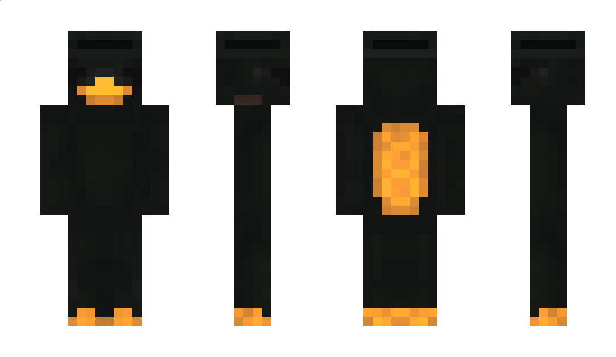 Xcidia_ Minecraft Skin