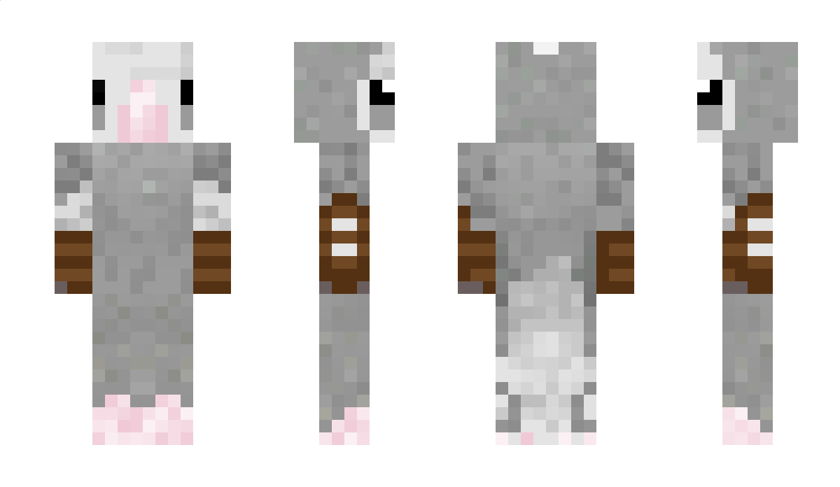 BurdMC Minecraft Skin