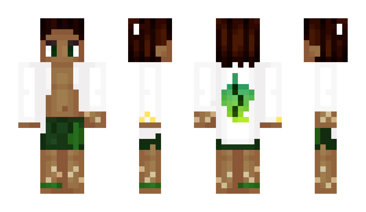 HeyimTurtle Minecraft Skin