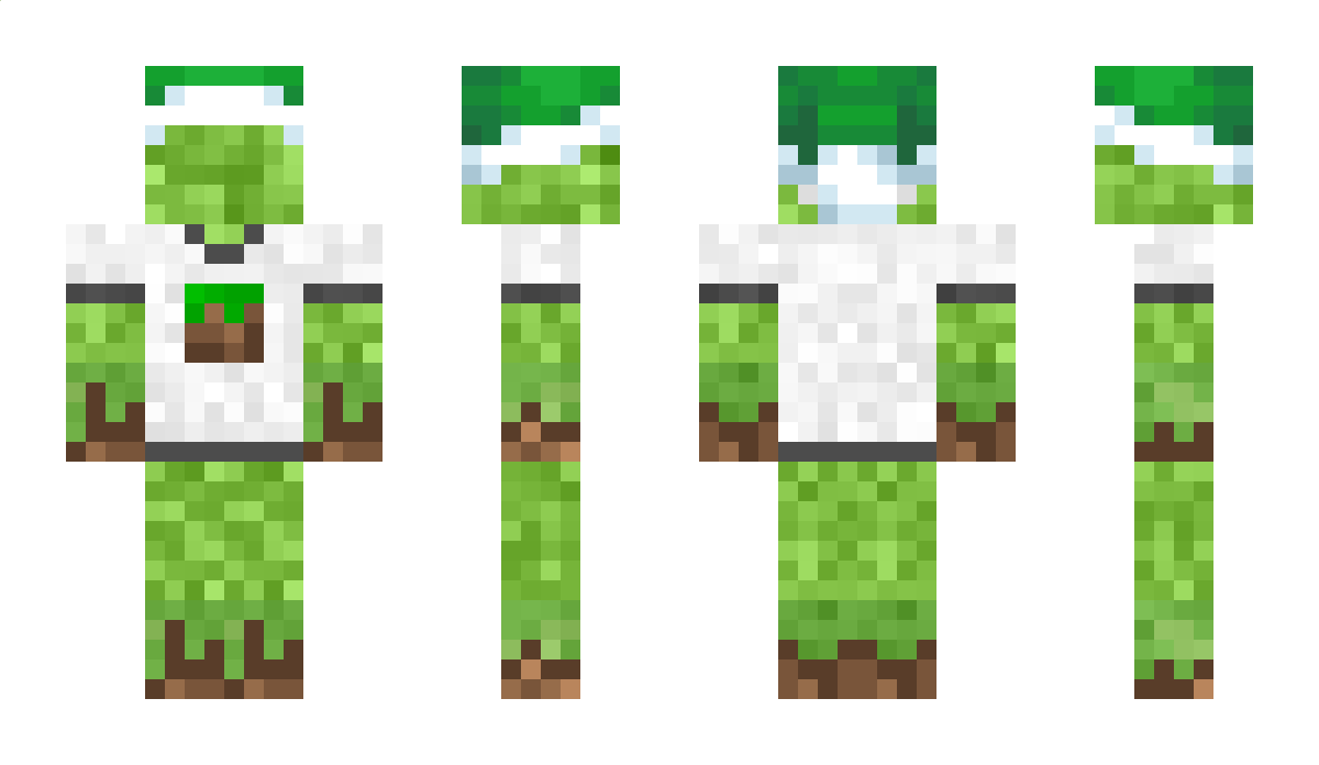HerbeHumide Minecraft Skin