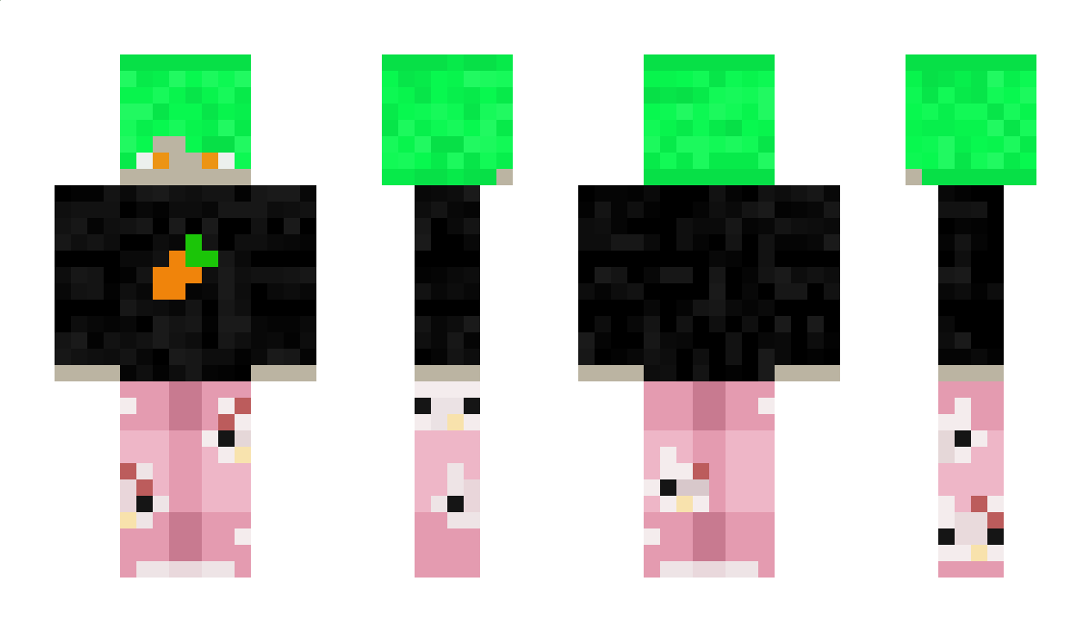 mcCarrot250 Minecraft Skin