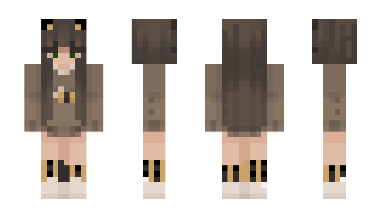 Banners Minecraft Skin