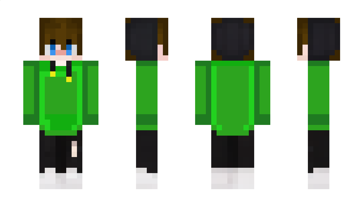 Arsolta Minecraft Skin