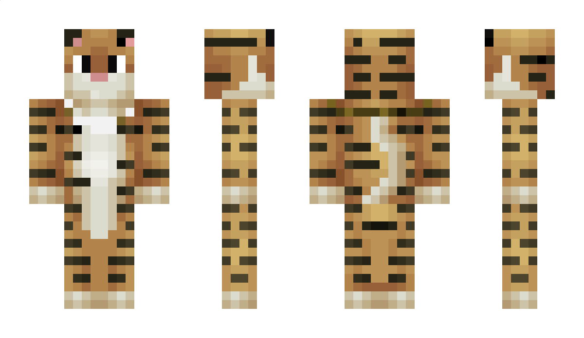 R63 Minecraft Skin