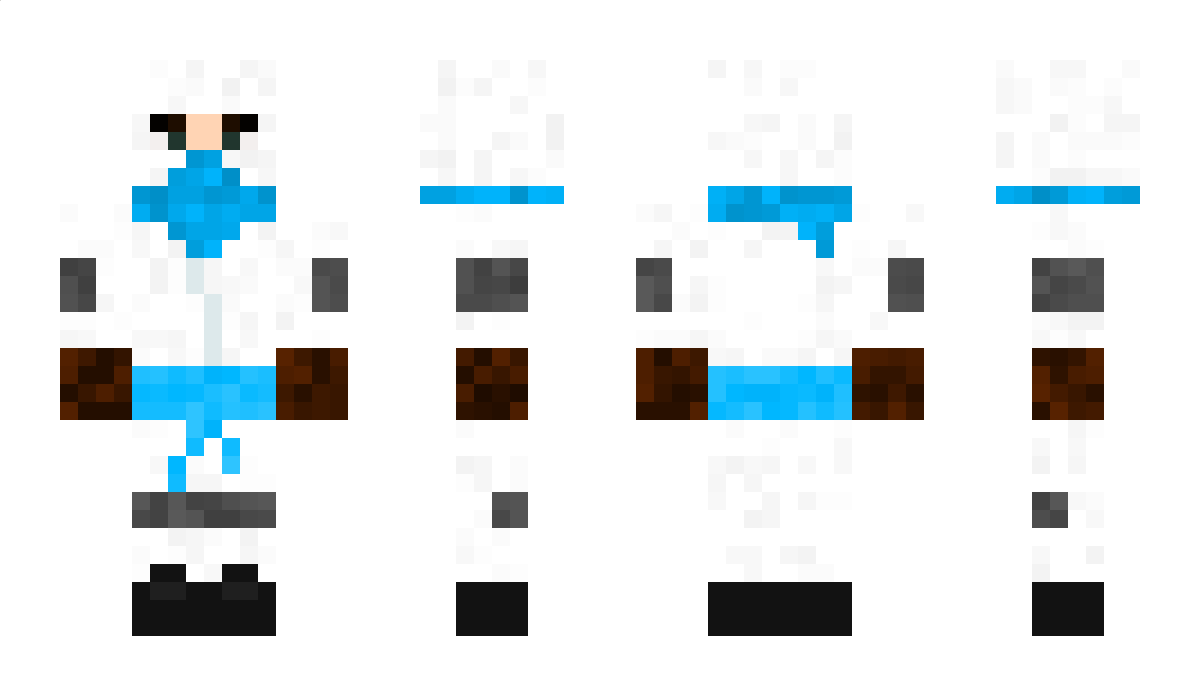 TheBlueRogue_ Minecraft Skin