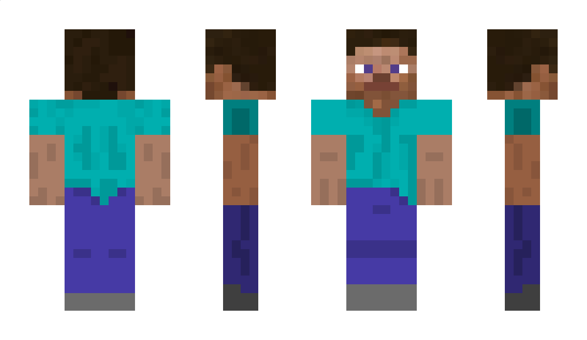 ANR17 Minecraft Skin