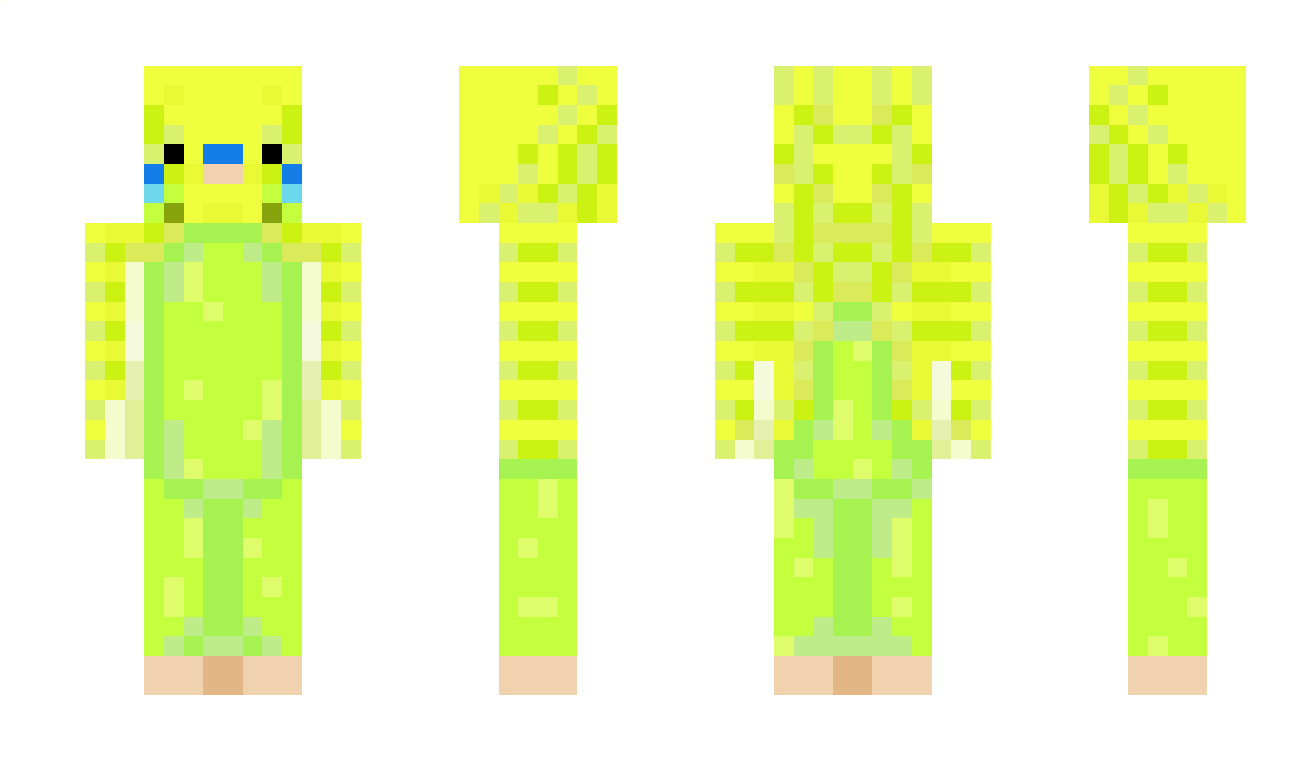 nqv_ Minecraft Skin