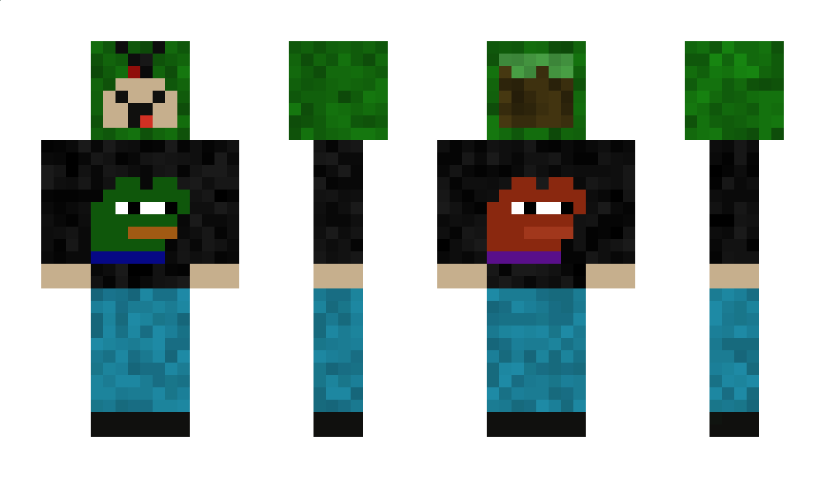 fehlpixel Minecraft Skin