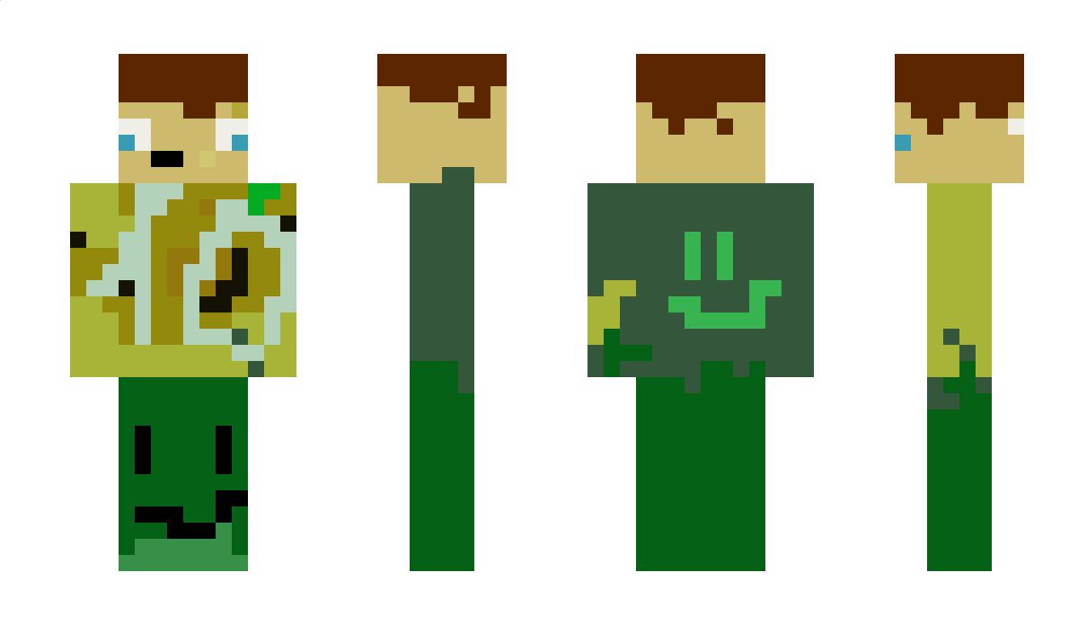 HenHo13 Minecraft Skin