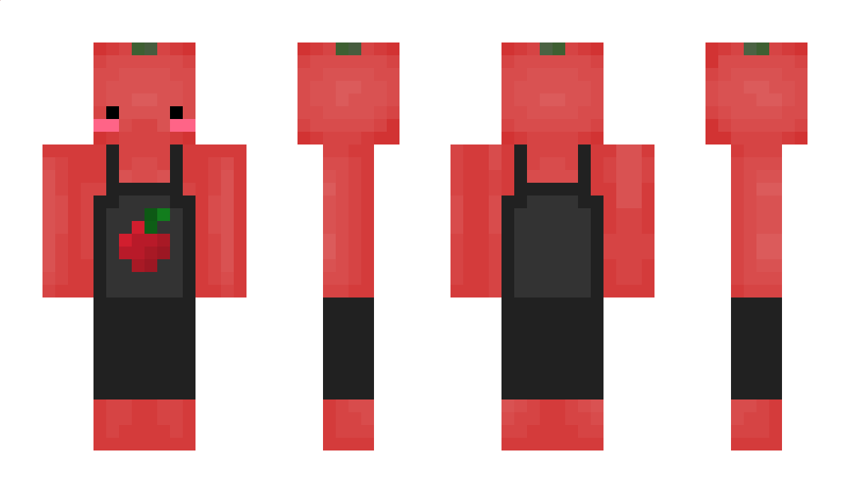 Searpls Minecraft Skin