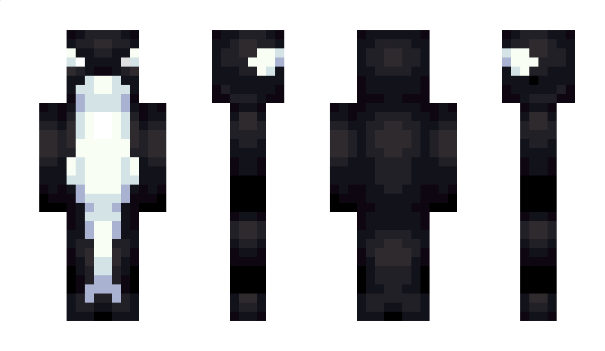 DirtyFeet Minecraft Skin