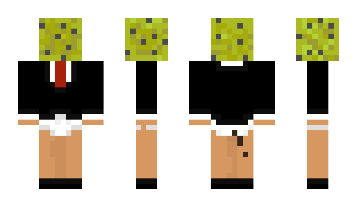 linuscraft26 Minecraft Skin