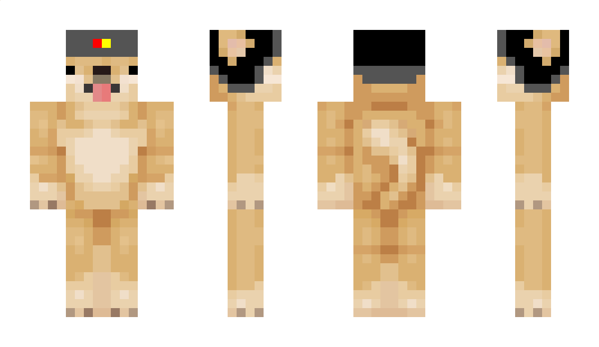 HeyImRoger_ Minecraft Skin