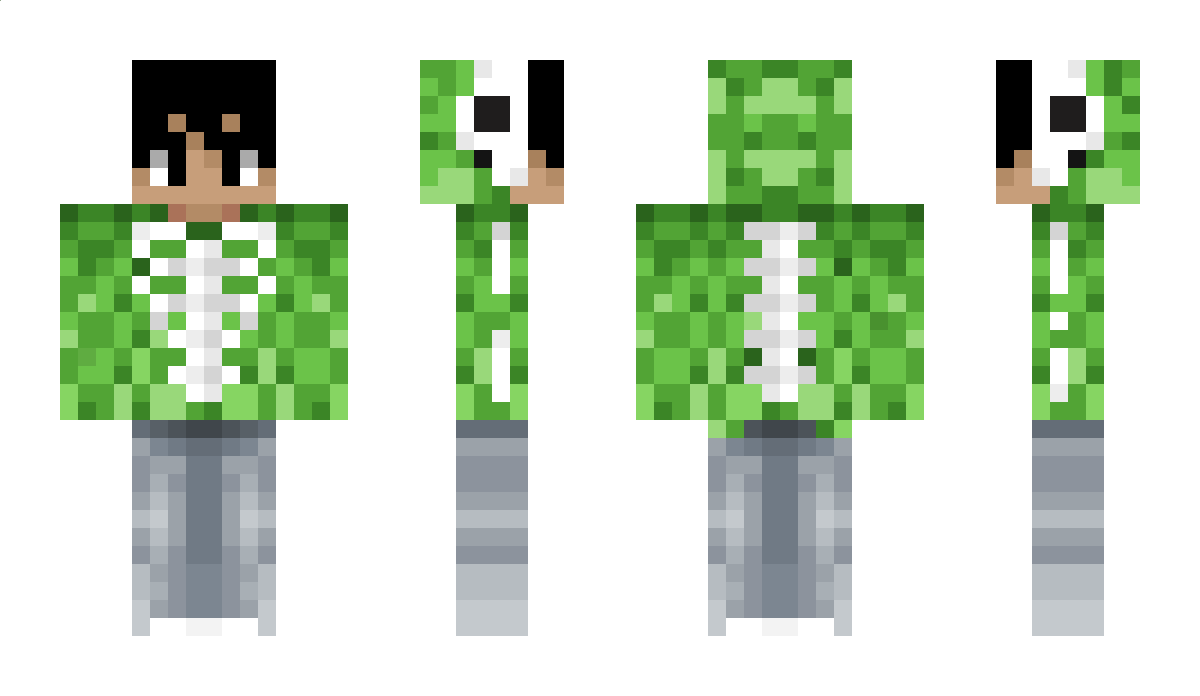 domias Minecraft Skin