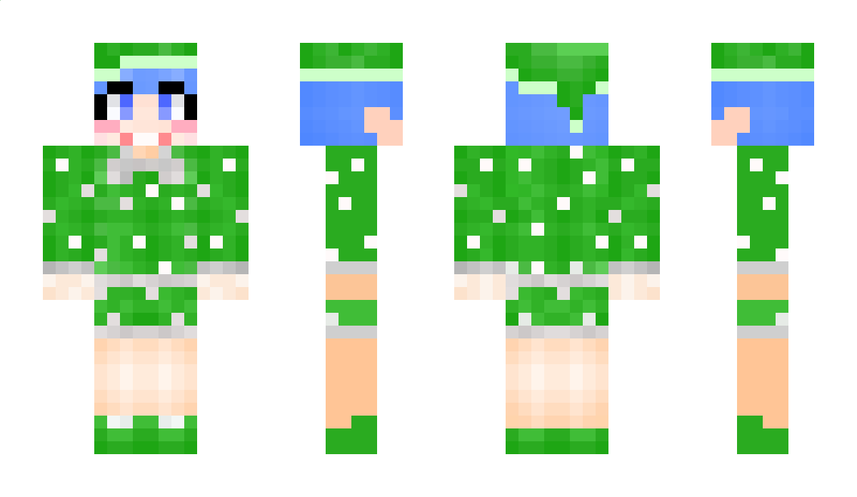 hongfarm Minecraft Skin